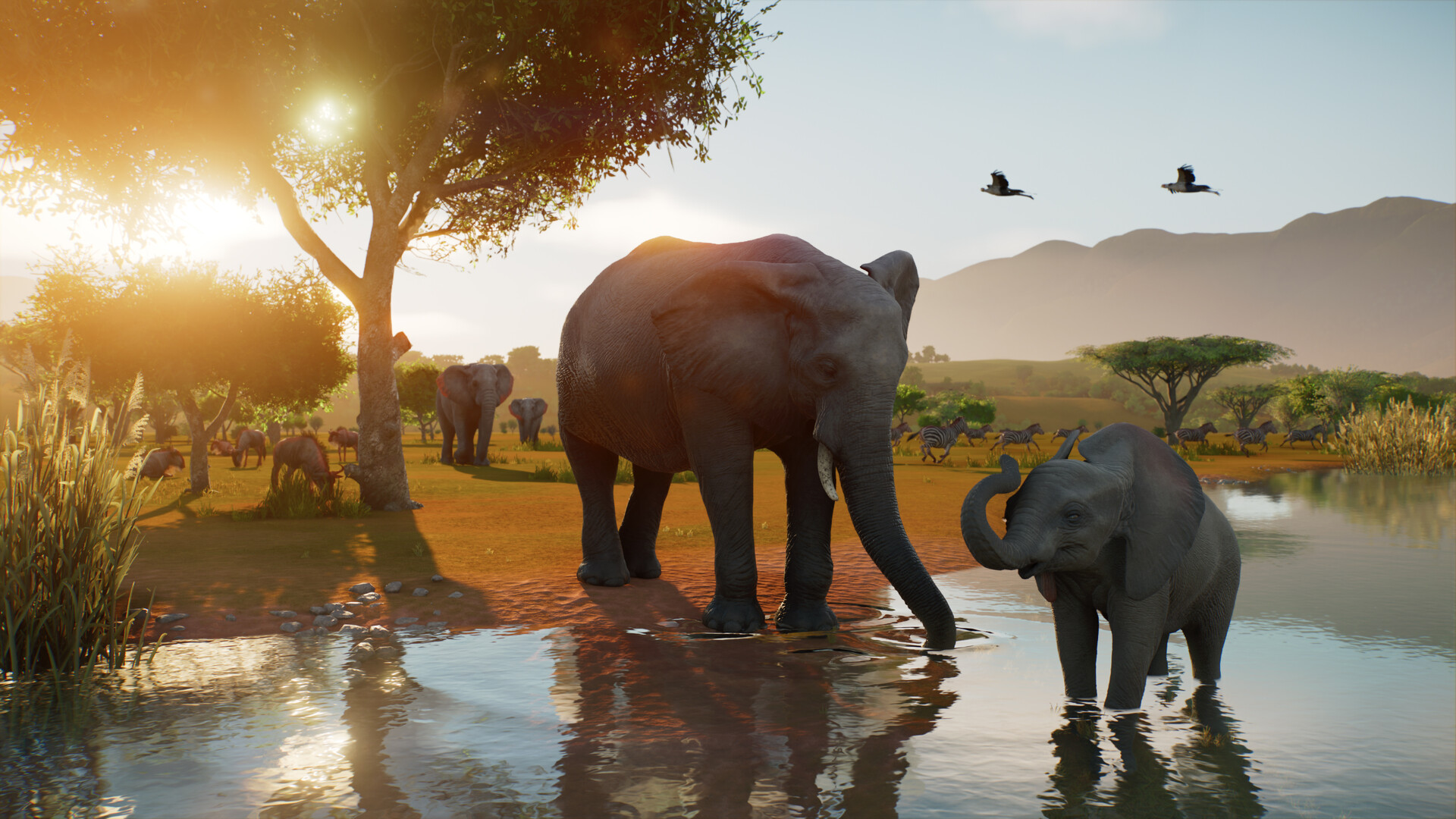 African savanna habitat with elephants and zebras at the watering hole at sunset